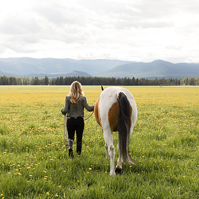 Equine Assisted Psychotherapist Whitefish MT Equine Equine Assisted Psychotherapist Whitefish MT Equine